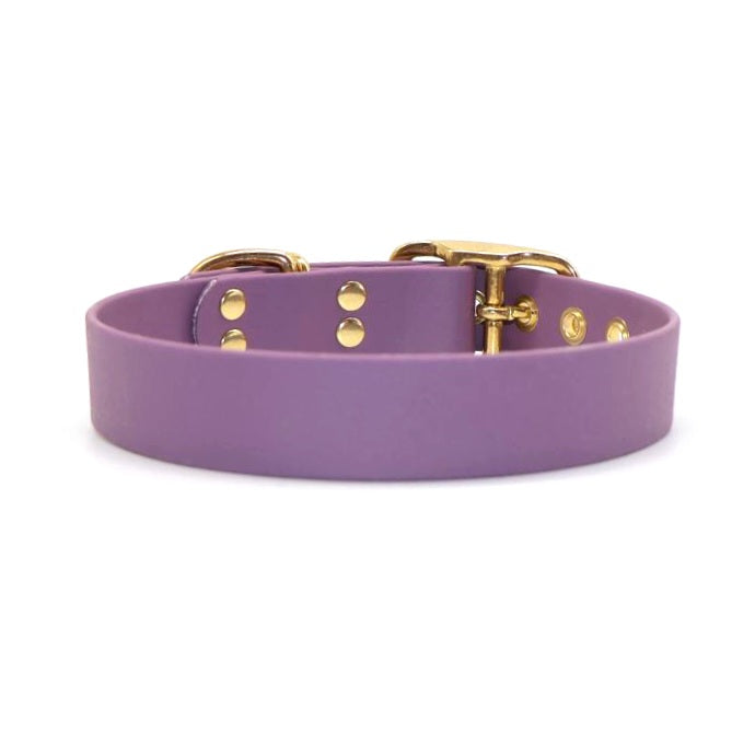 Halsband Biothane *Traube*