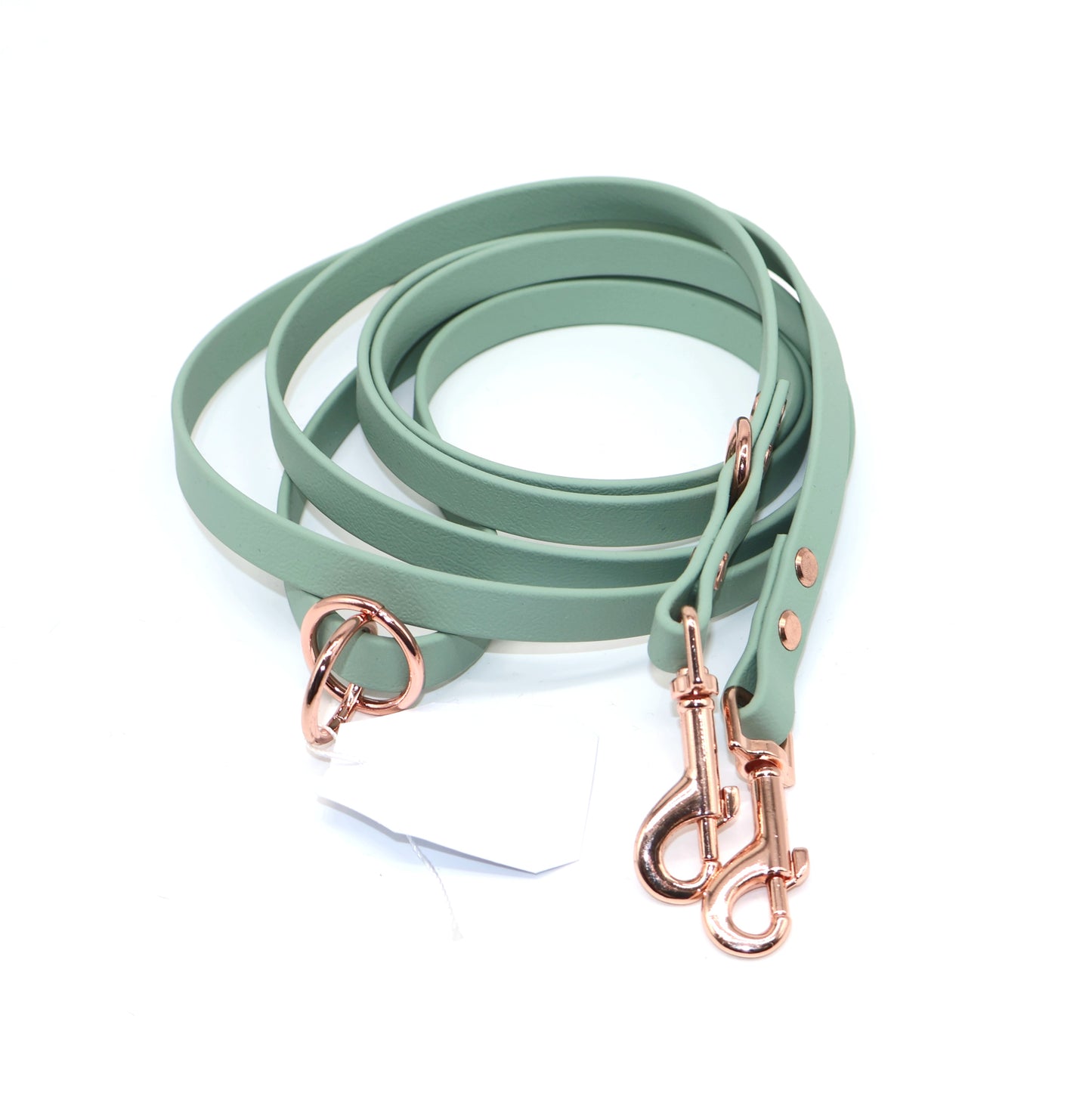 2,2m & 13mm Biothane Leine *Mint*