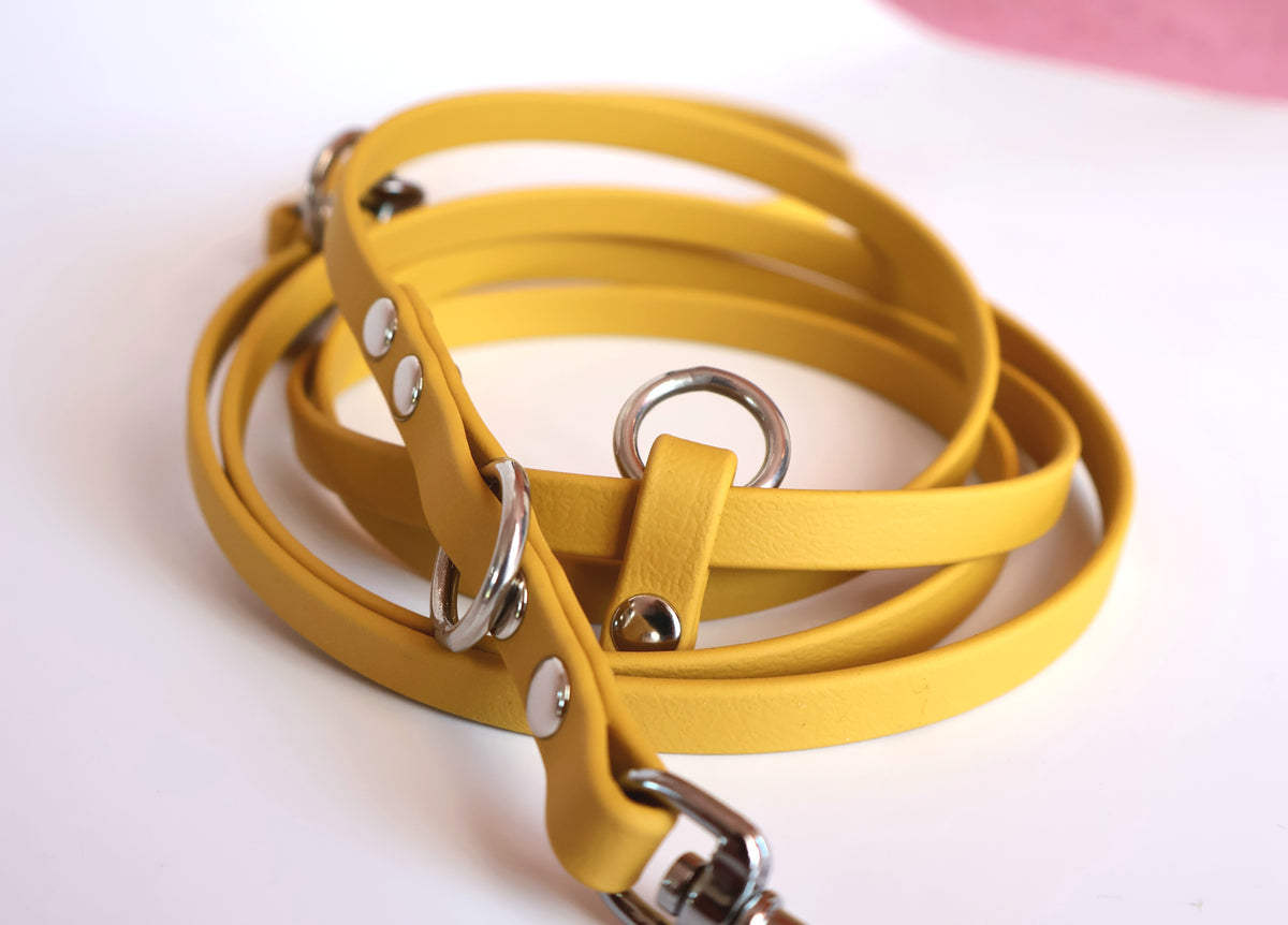 22-26cm Biothane Halsband und dünne 2,0m Biothane Leine *Ocher-/Senfgelb*
