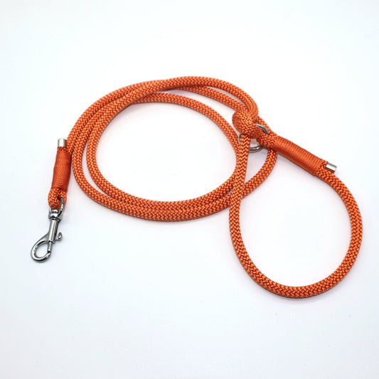 PPM Leine 6mm für sehr kleine Hunde