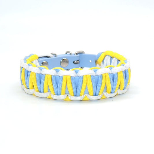 Halsband Biothane & Paracord *Polarblau & Gelb*