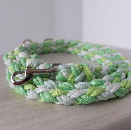 Designe dein eigenes Unikat - Paracord Leine