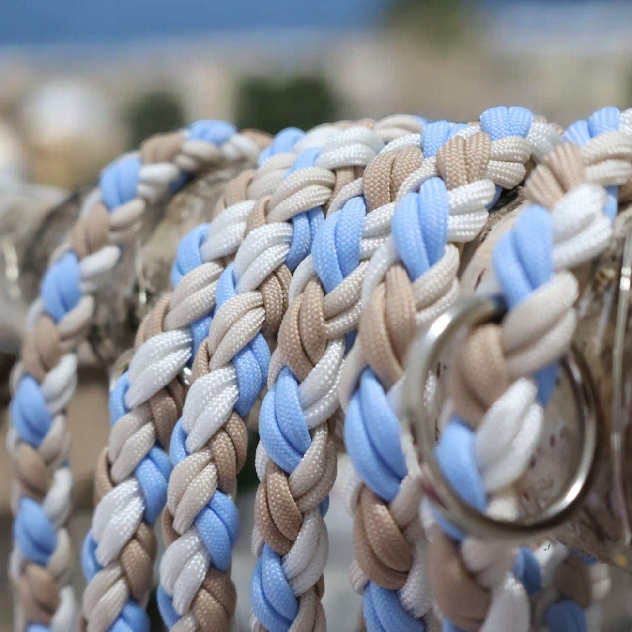 Handgeflochtene Paracord Leine *Polarblau & Mocca & Creme & Weiß*