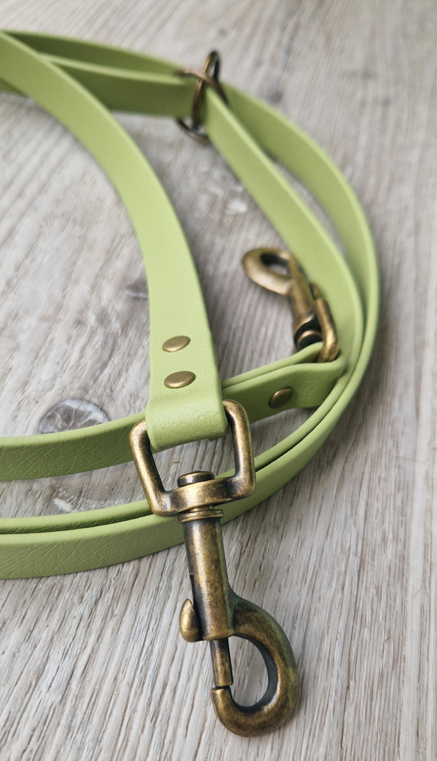 Leash Biothane *Guacamole*