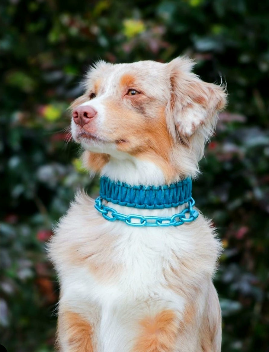 Create your own unique collar Biothane &amp; Paracord