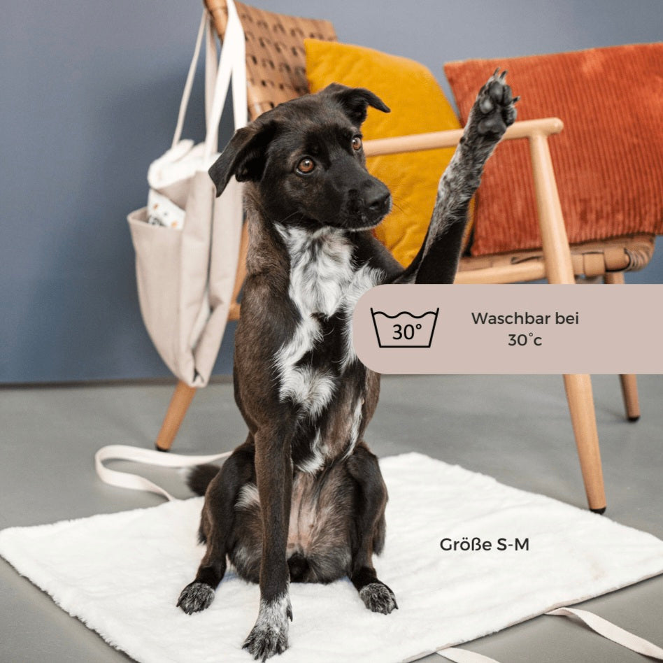 Reisedecke und Tasche