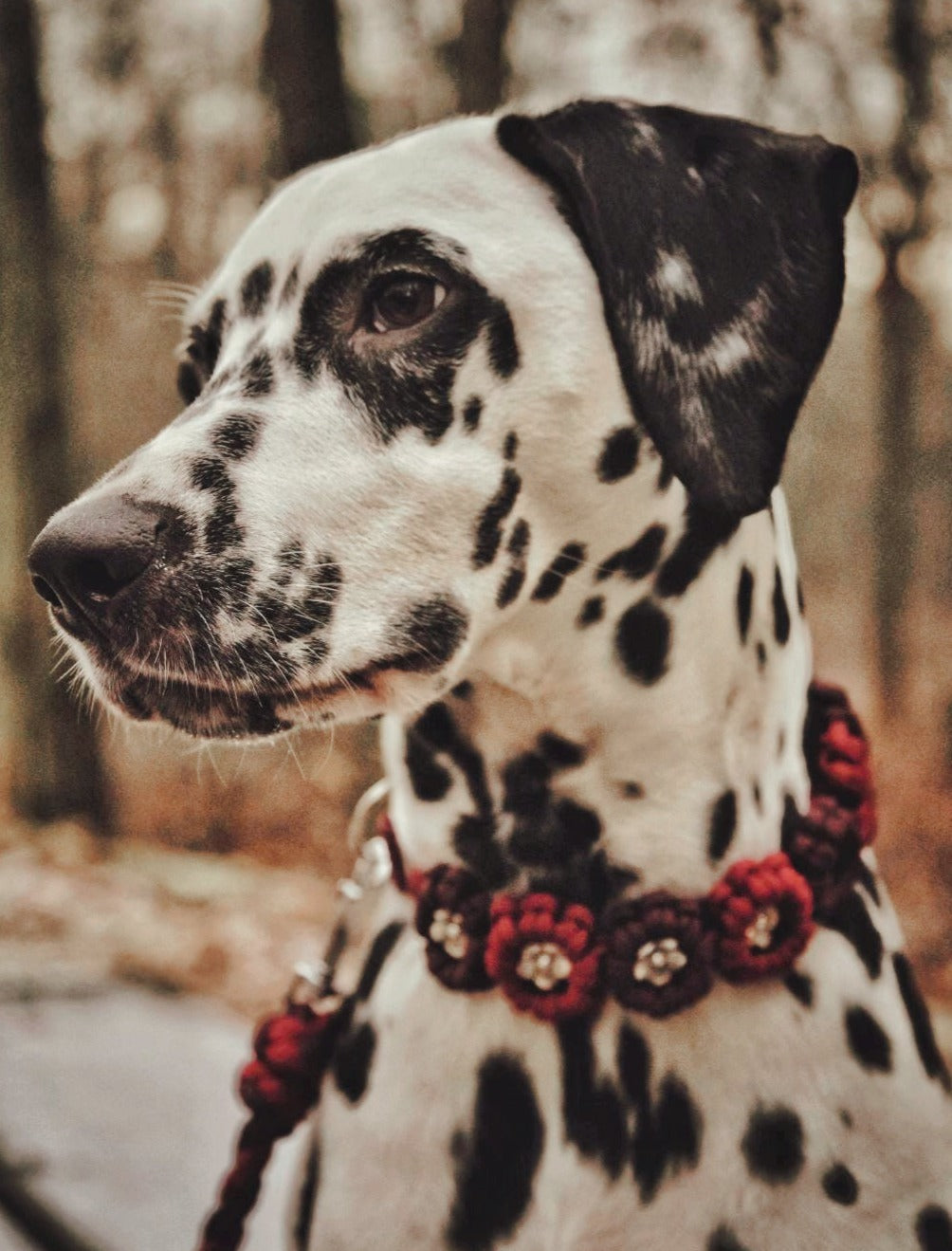 Flower Necklace *Wine Red*