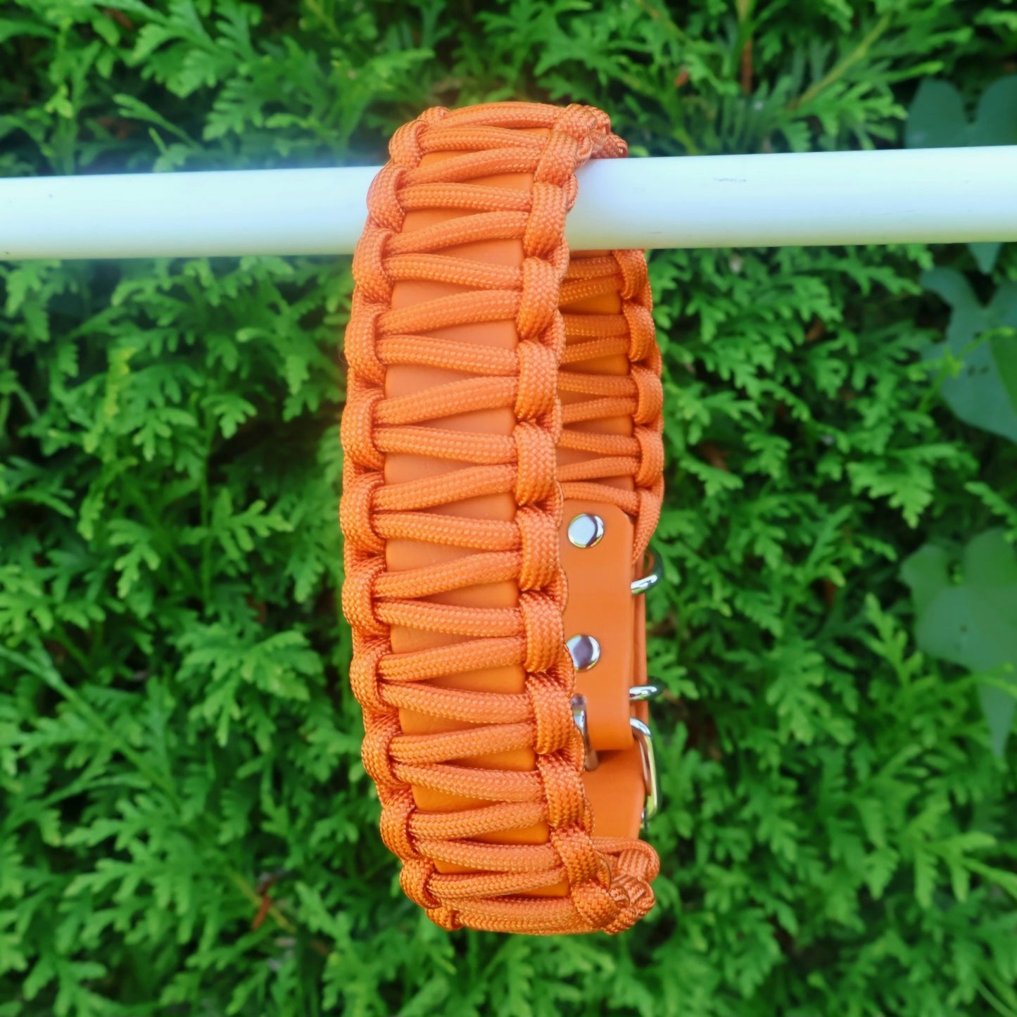 Collar Biothane &amp; Paracord *Orange*