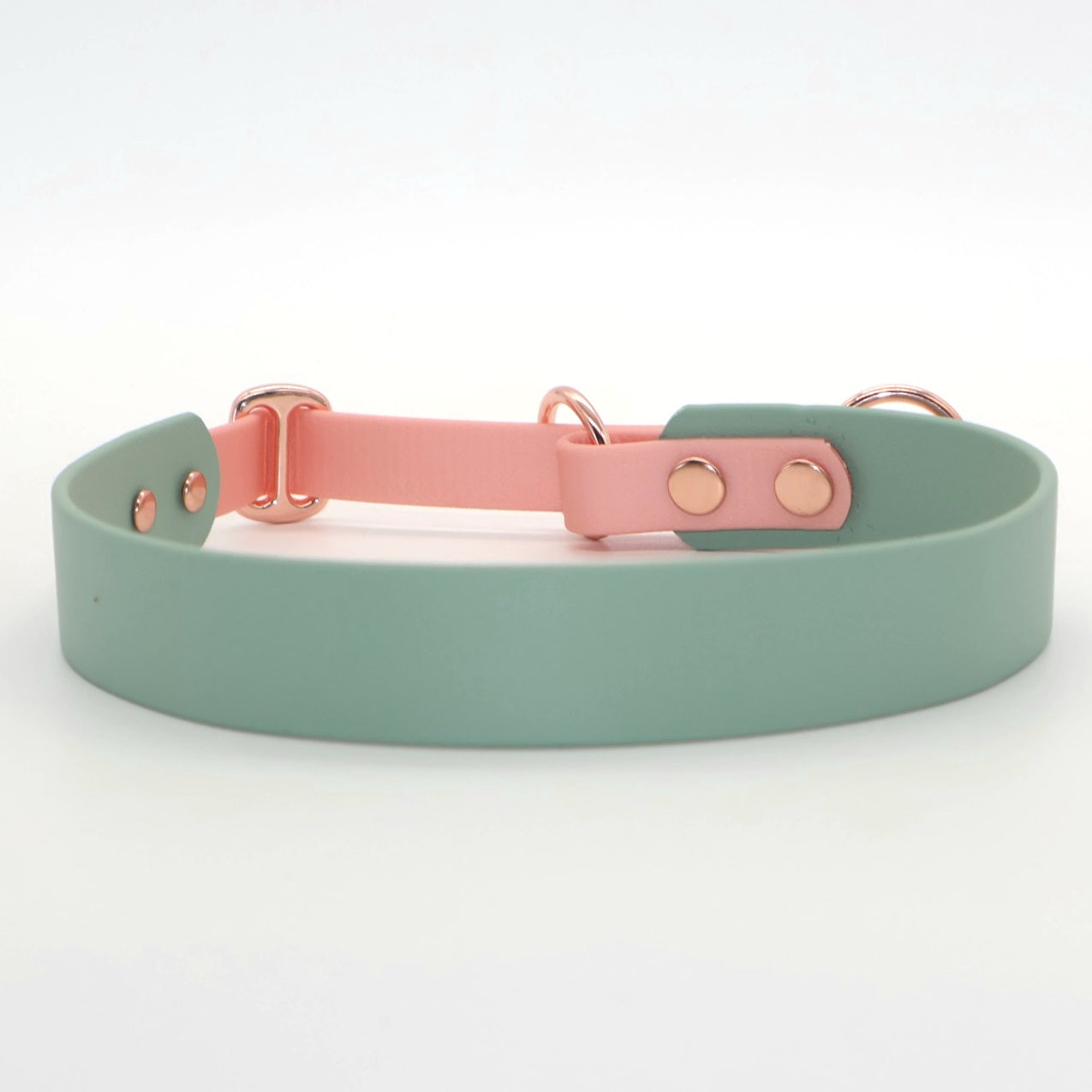 Train stop collar Biothane *Mint &amp; Rosé*