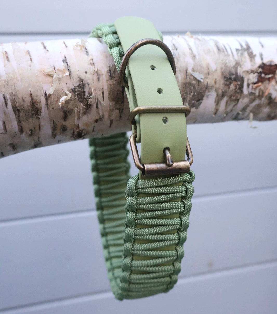 Collar Biothane &amp; Paracord *Guacamole*