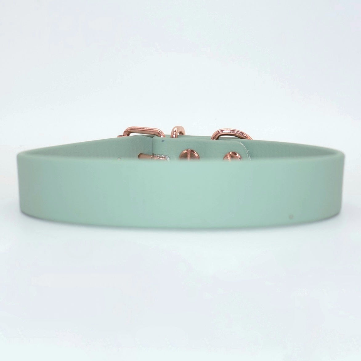 Collar Biothane *Mint*