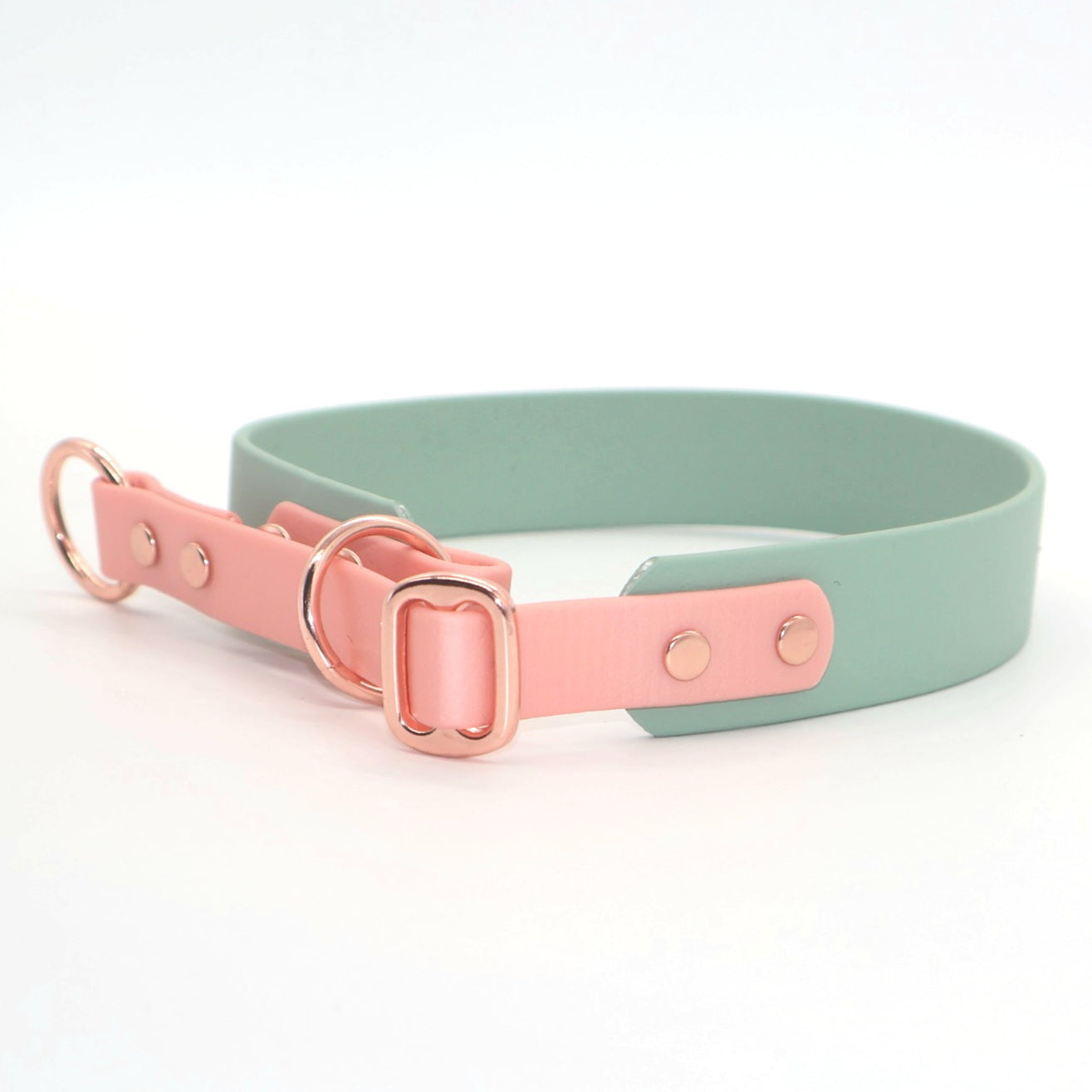 Train stop collar Biothane *Mint &amp; Rosé*