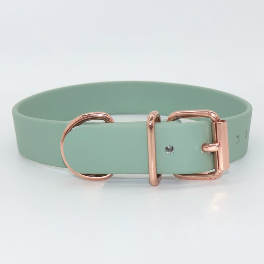 Collar Biothane *Mint*