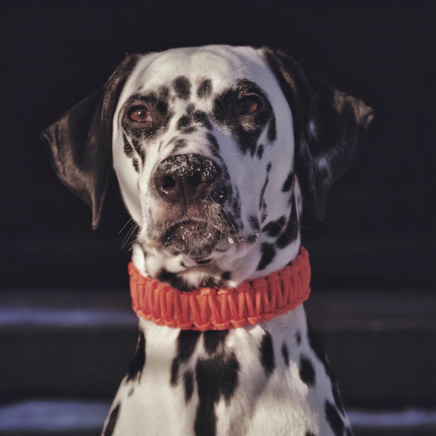 Collar Biothane &amp; Paracord *Orange*