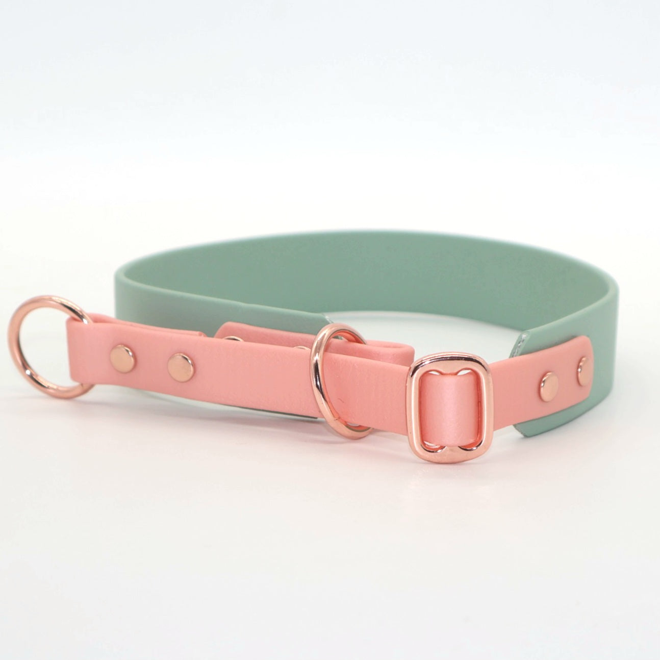 Train stop collar Biothane *Mint &amp; Rosé*