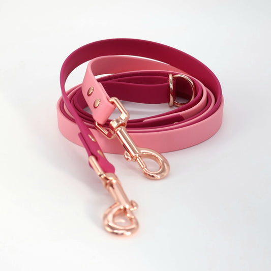 Leine Biothane *Beere & Rosa*