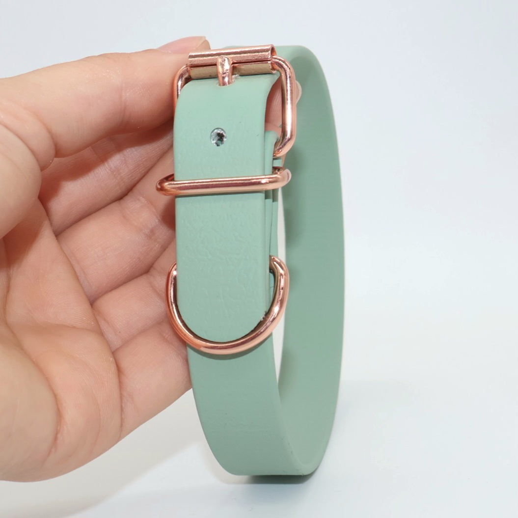 Collar Biothane *Mint*