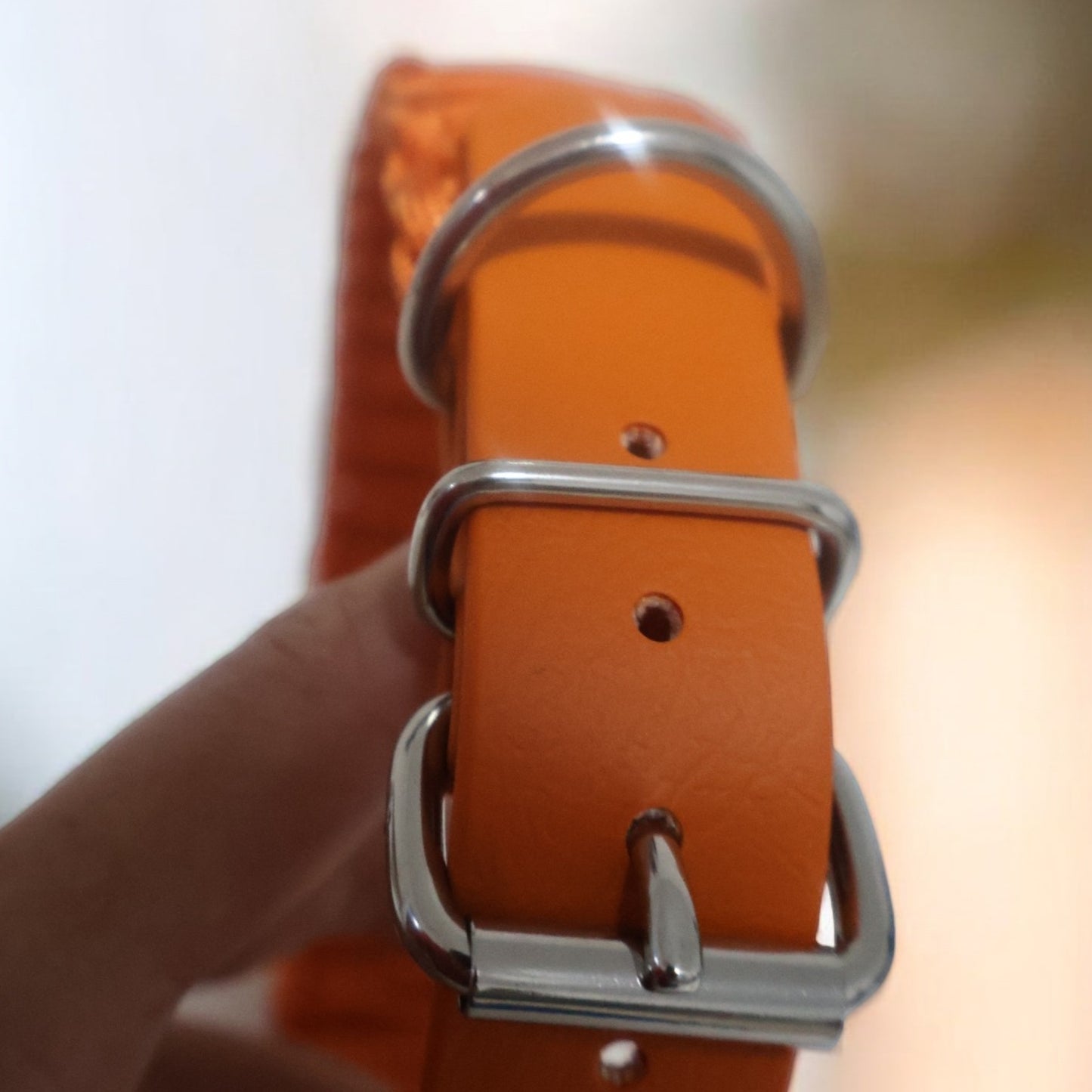 Collar Biothane &amp; Paracord *Orange*