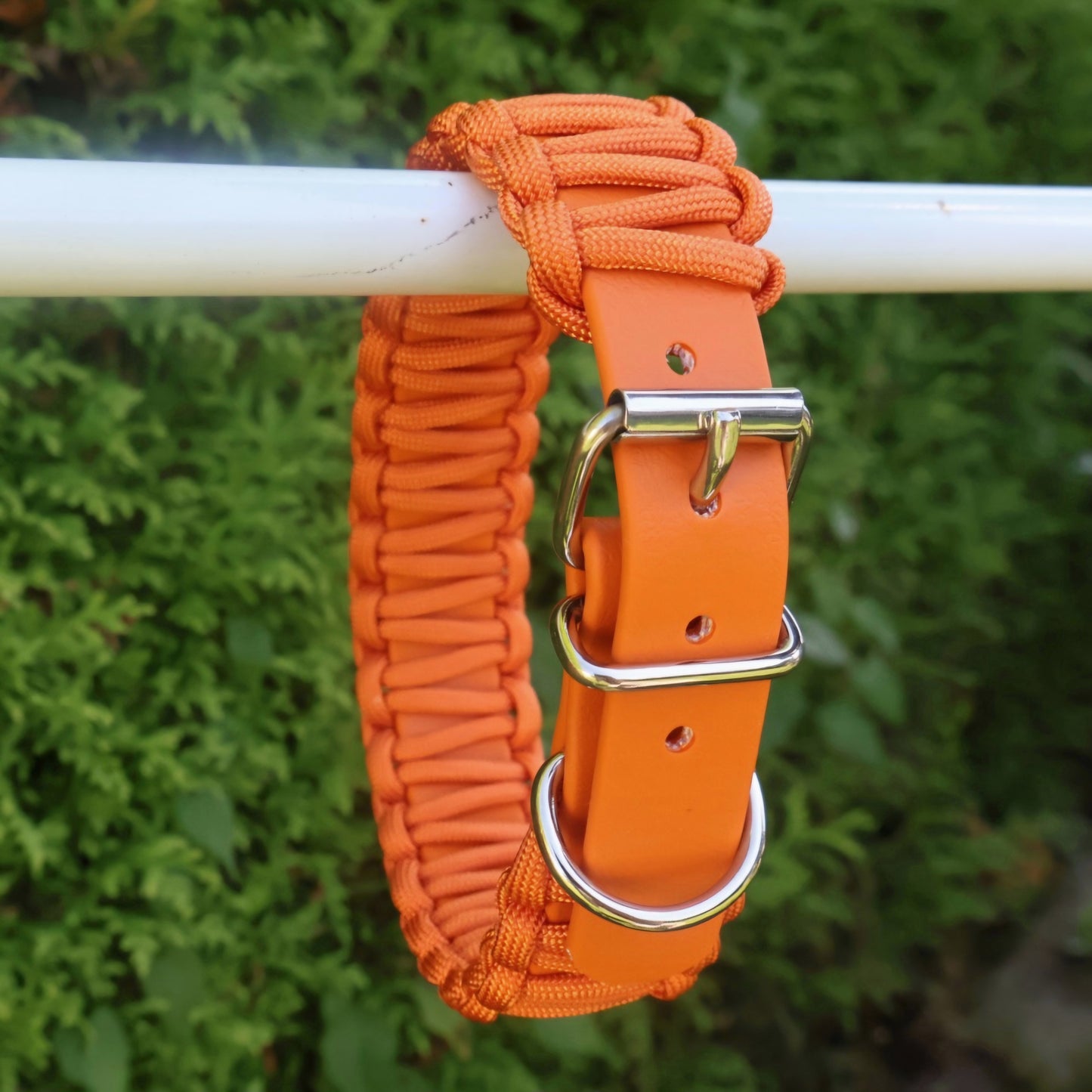 Collar Biothane &amp; Paracord *Orange*