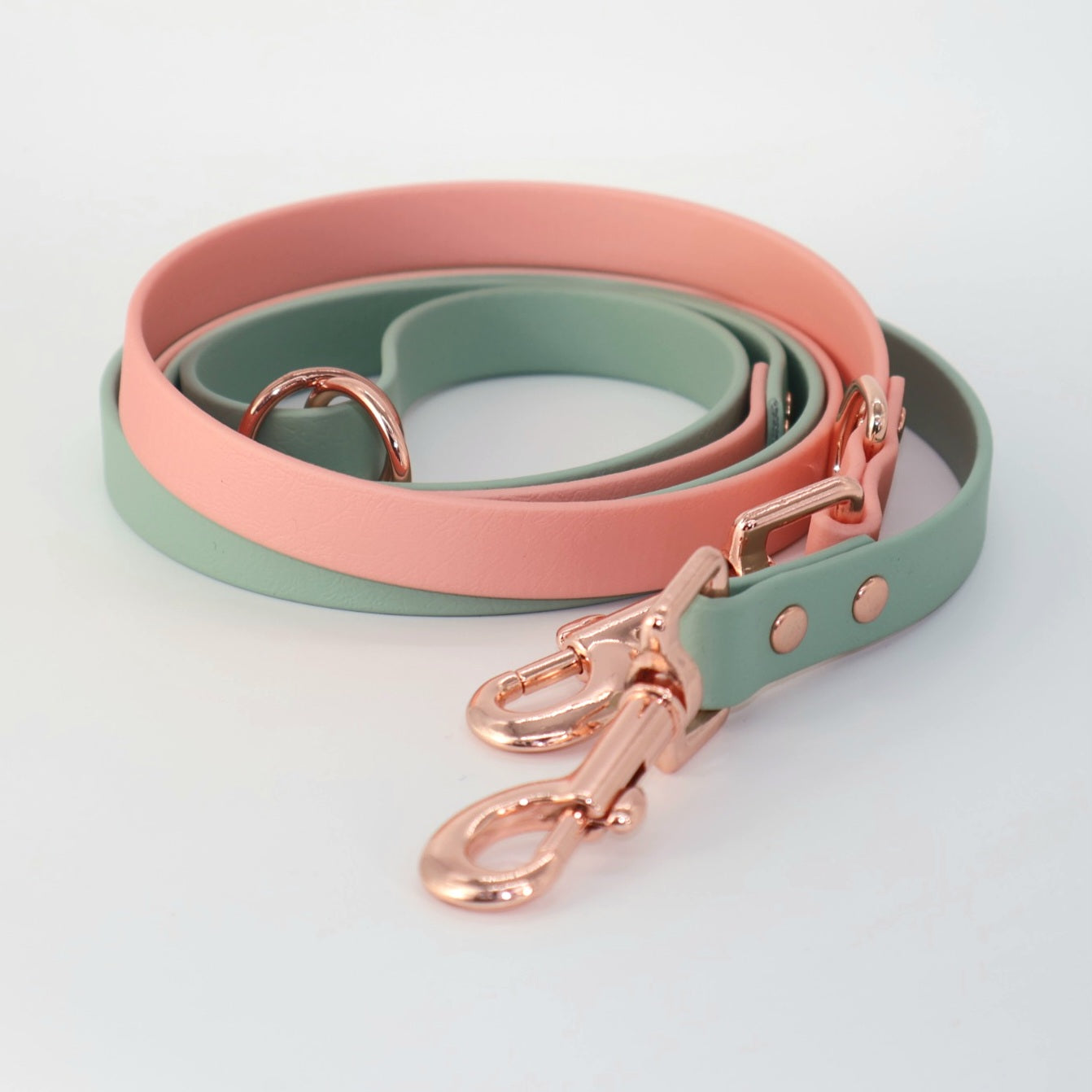 Leine Biothane *Mint & Rosé*