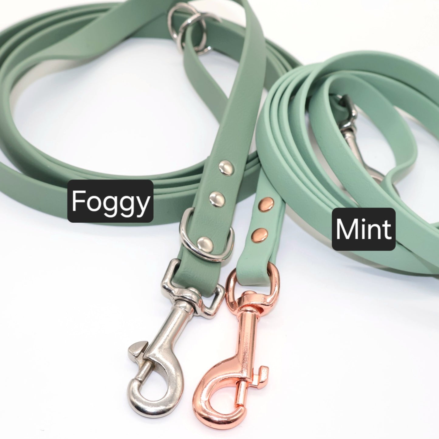 Leash Biothane *Mint*