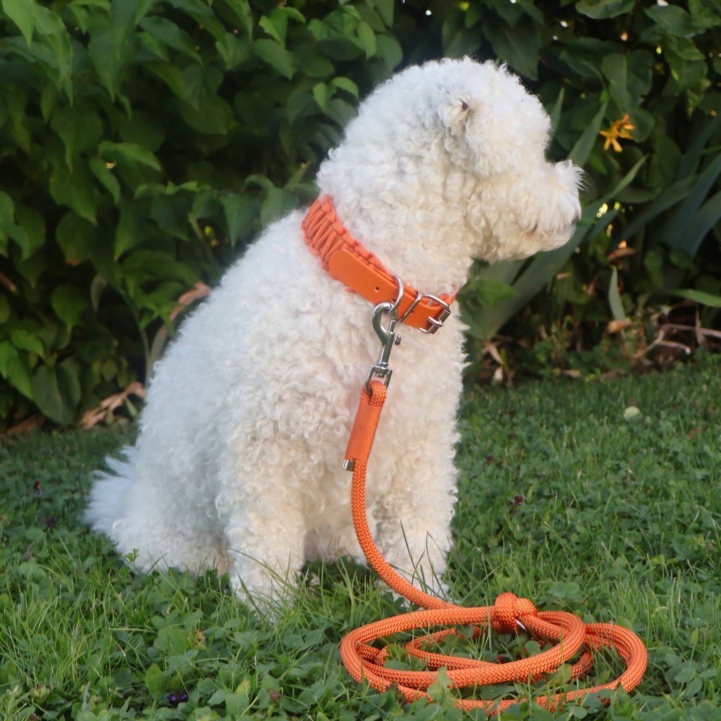 Tauleine PPM 8-10mm *Fox Orange*