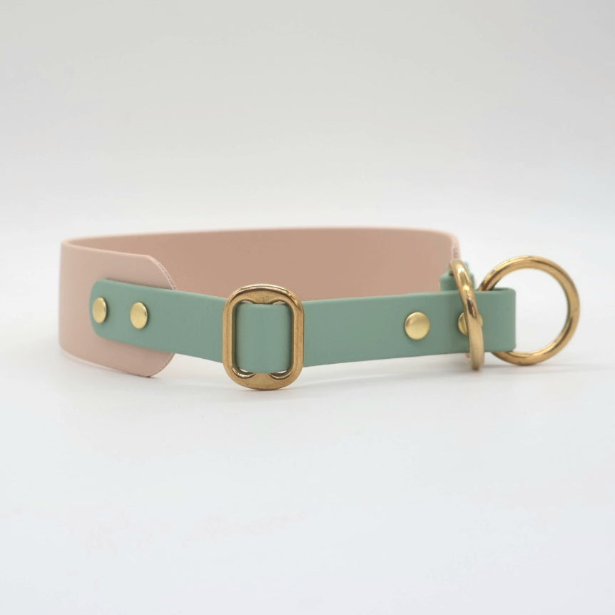 Anti-Choke Collar Biothane *Mocca &amp; Mint*