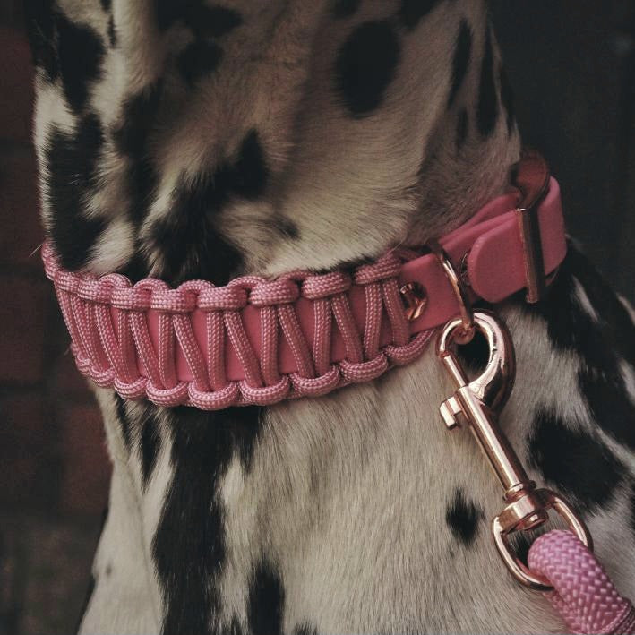Collar Biothane &amp; Paracord *Pastel Pink*
