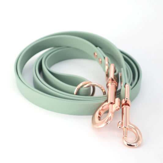 Leash Biothane *Mint*