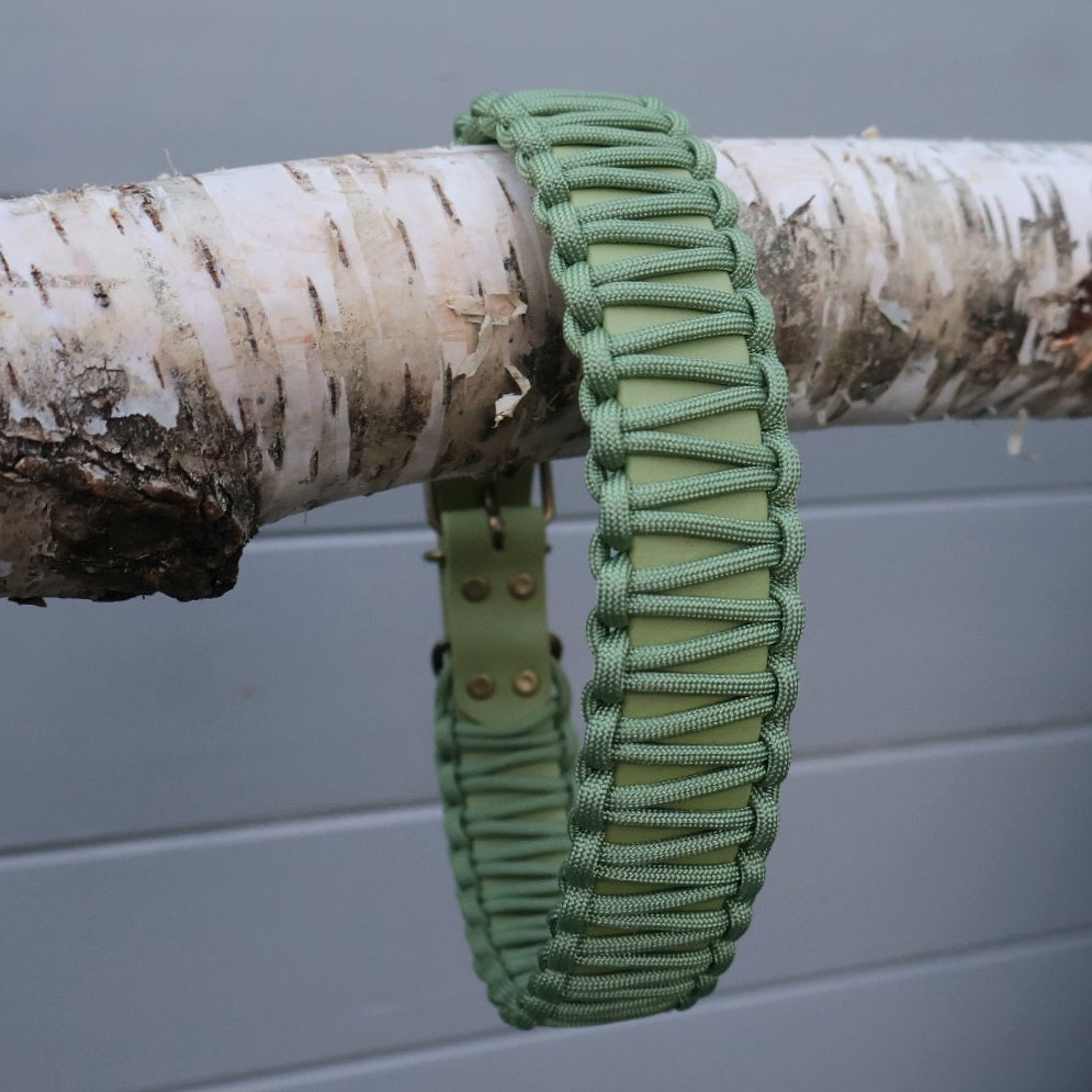 Collar Biothane &amp; Paracord *Guacamole*