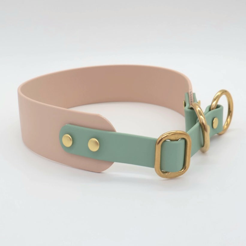 Anti-Choke Collar Biothane *Mocca &amp; Mint*